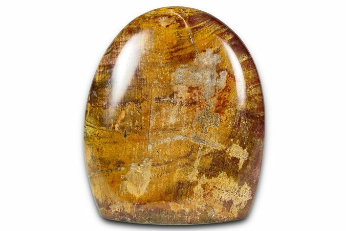 Free-Standing, Polished Petrified Wood - Madagascar #376092